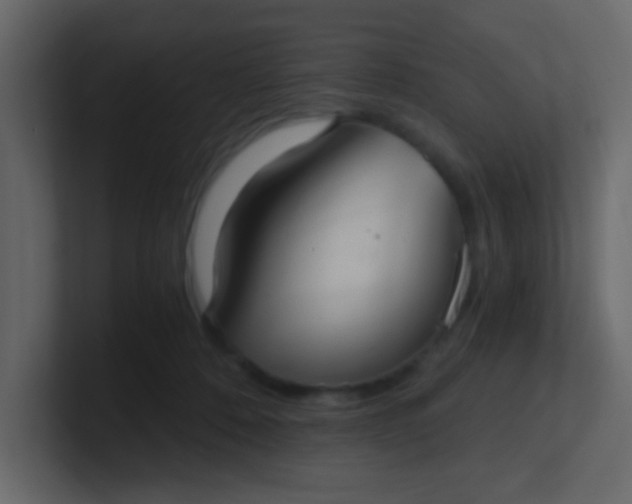 X0000101110320200807101515