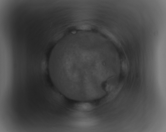 X0000101110322200807101515