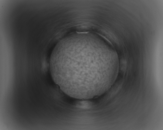 X0000101110324200807101515
