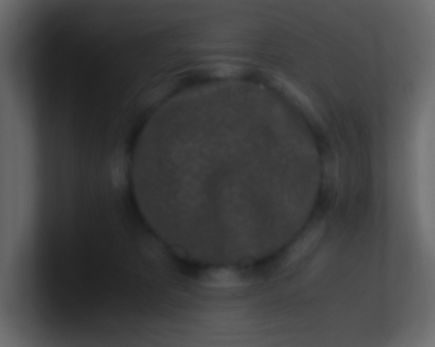X0000101110325200807101515