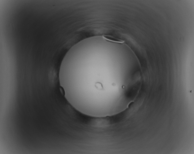 X0000101110327200807101515