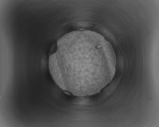 X0000101110328200807101515