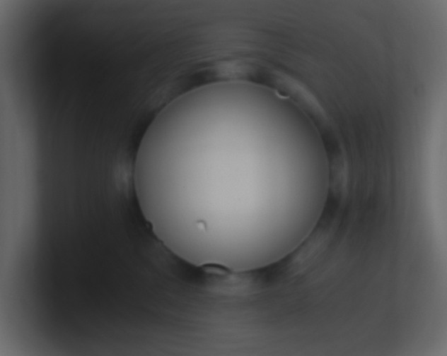 X0000101110329200807101515
