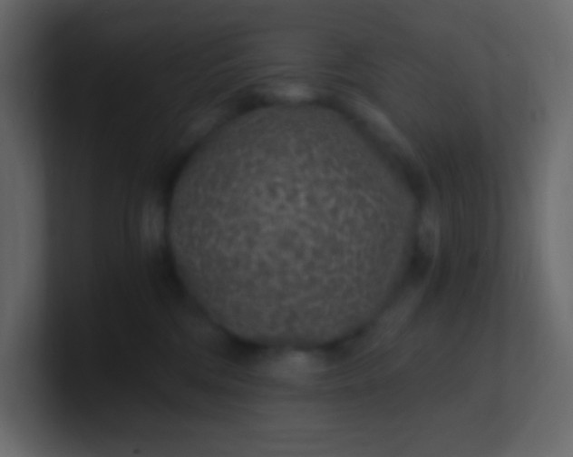 X0000101110330200807101515