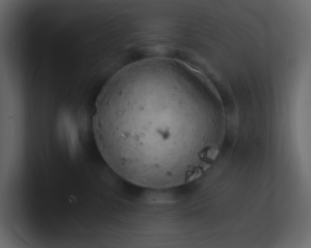 X0000101110331200807101514