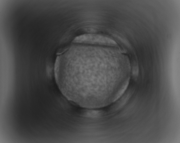 X0000101110332200807101514