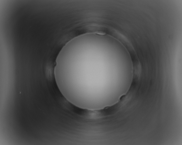X0000101110333200807101514