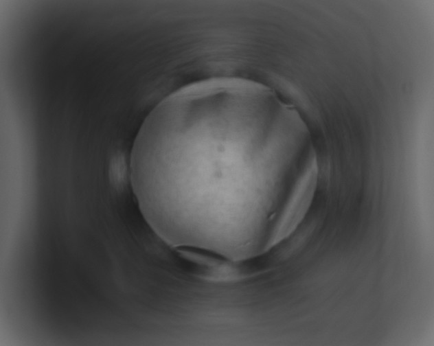 X0000101110335200807101514