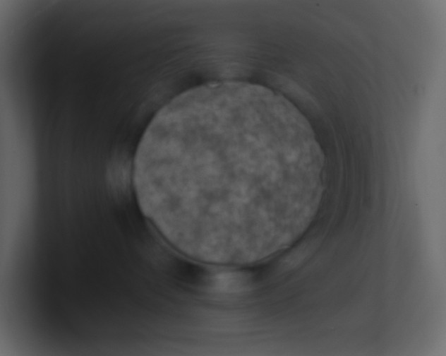 X0000101110336200807101514