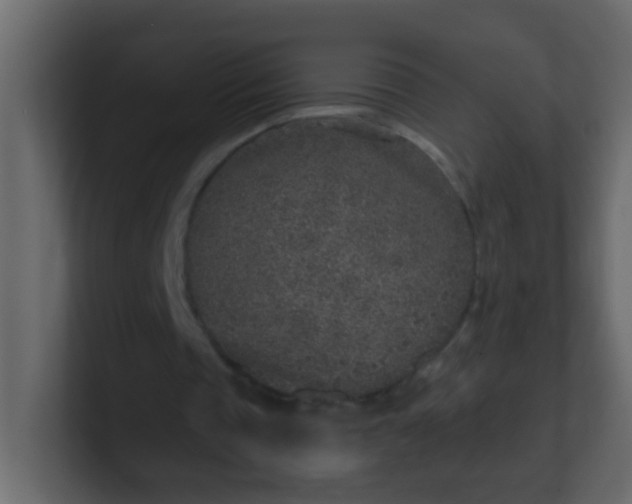 X0000101110337200807101514