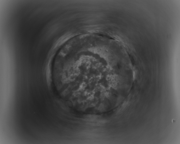 X0000101110339200807101514