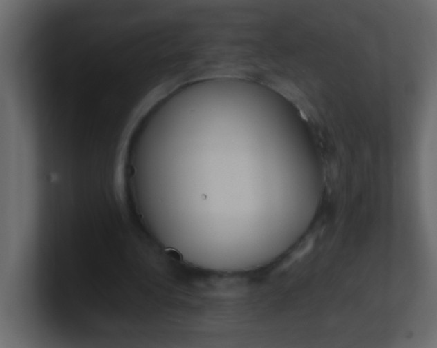 X0000101110340200807101514