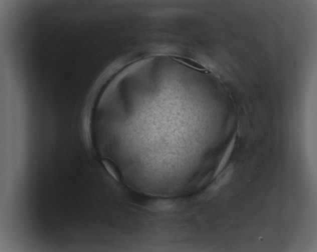 X0000101110341200807101514