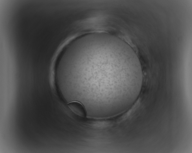 X0000101110342200807101514