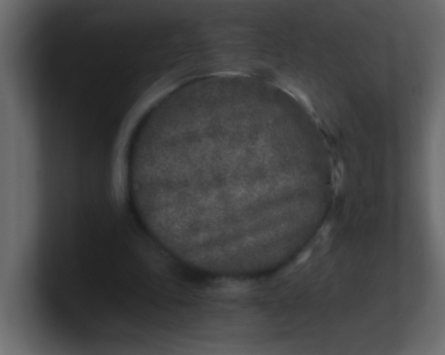 X0000101110343200807101514