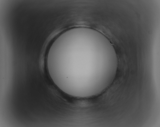X0000101110344200807101514
