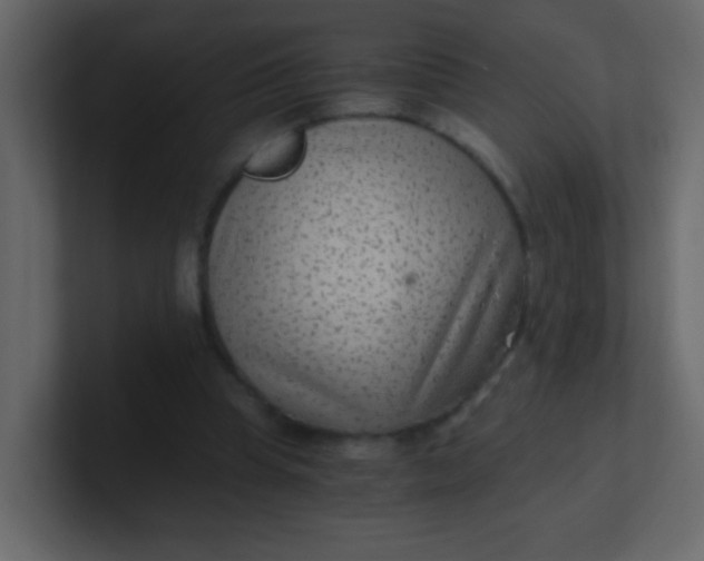 X0000101110345200807101514