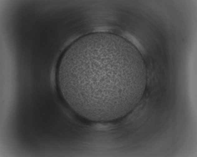 X0000101110346200807101514