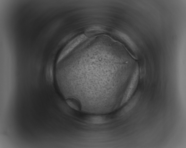 X0000101110349200807101514