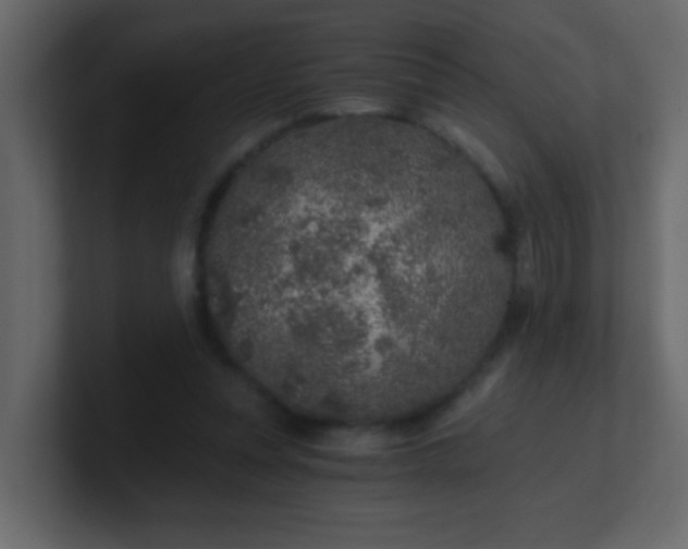 X0000101110351200807101514