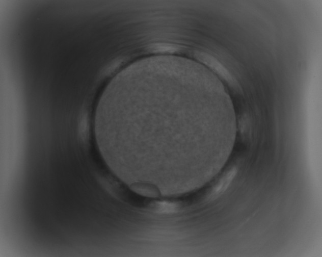 X0000101110352200807101514