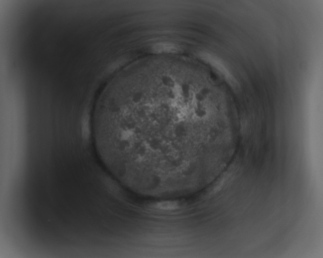 X0000101110353200807101514