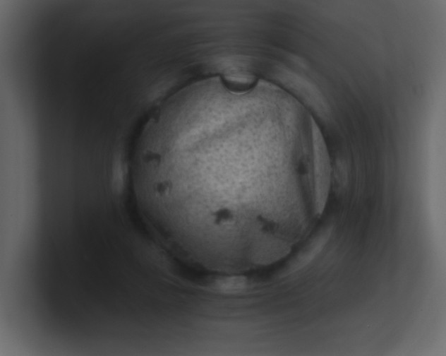 X0000101110355200807101514