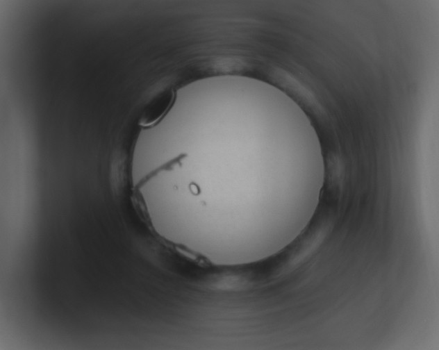 X0000101110356200807101514