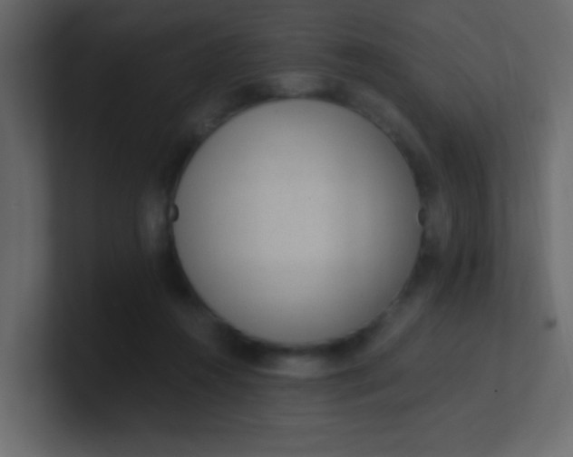 X0000101110360200807101514