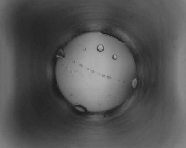 X0000101110362200807101514