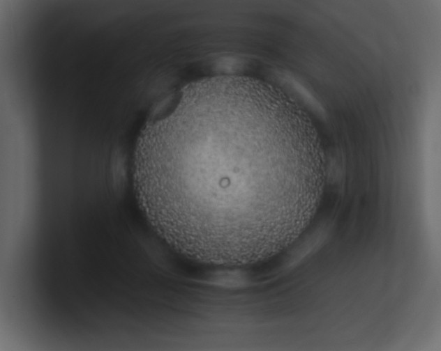 X0000101110363200807101514