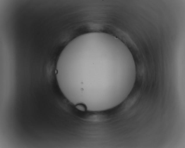 X0000101110364200807101514