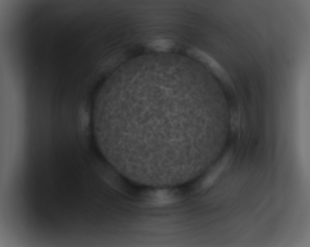 X0000101110365200807101514
