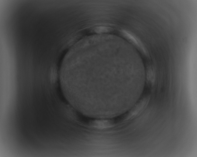 X0000101110367200807101514
