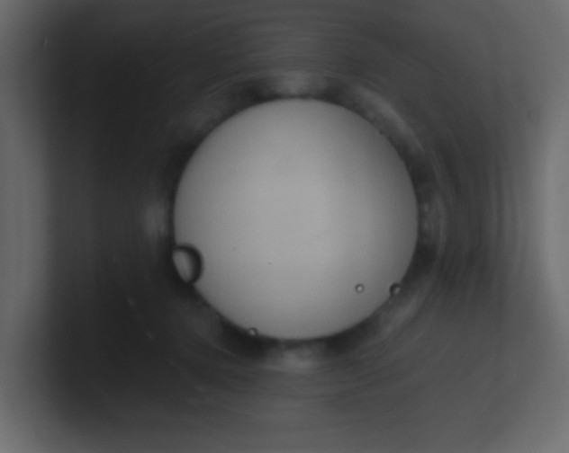 X0000101110368200807101514