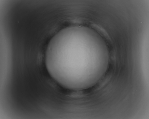 X0000101110369200807101514