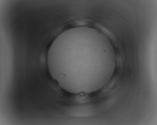 X0000101110373200807101514
