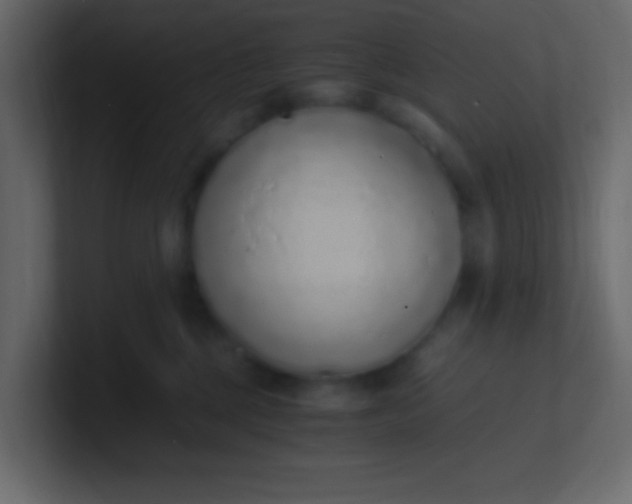 X0000101110377200807101514