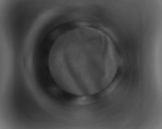 X0000101110382200807101514