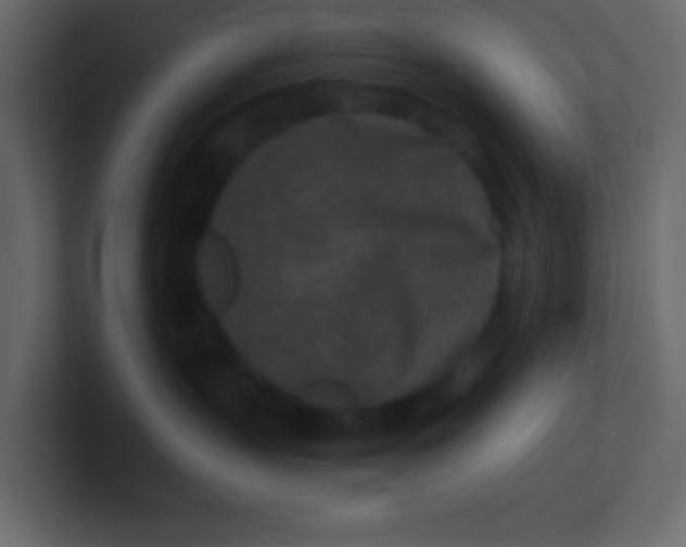 X0000101110383200807101514