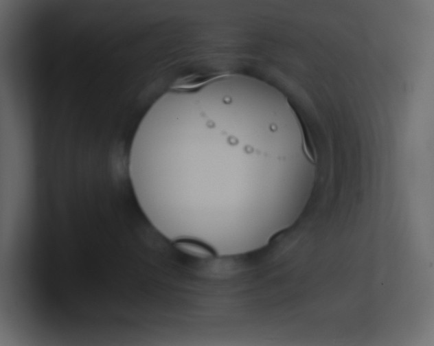 X0000101110384200807101514