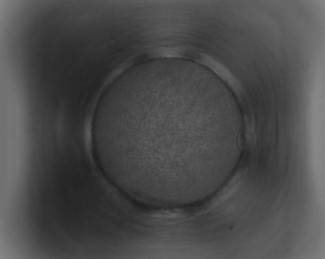 X0000101110386200807101514