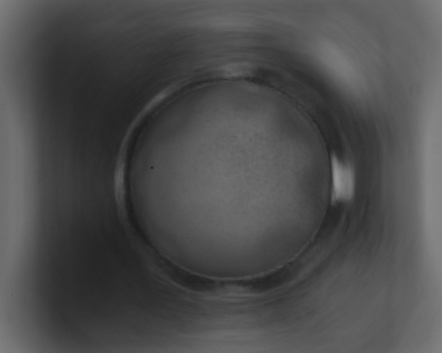 X0000101110387200807101514