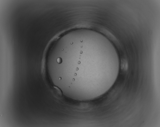 X0000101110388200807101514
