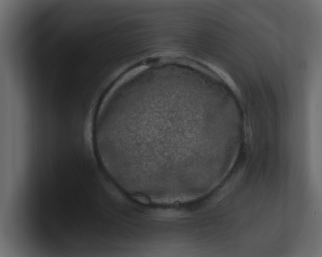X0000101110389200807101514