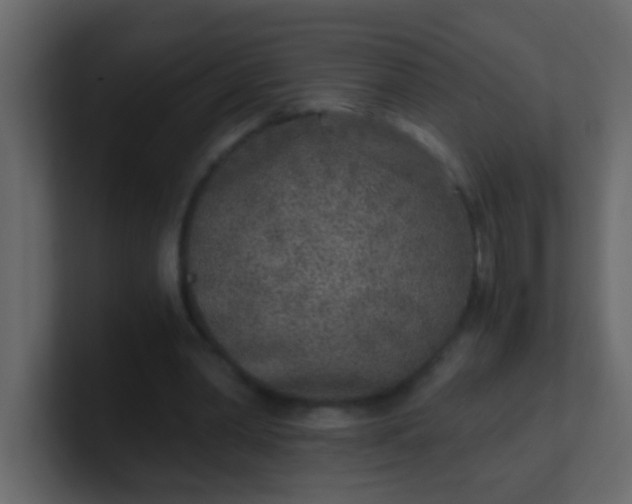 X0000101110390200807101514