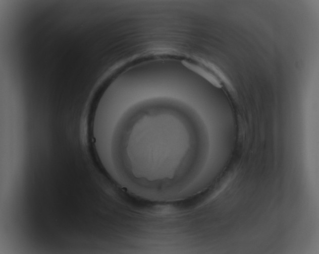 X0000101110391200807101514