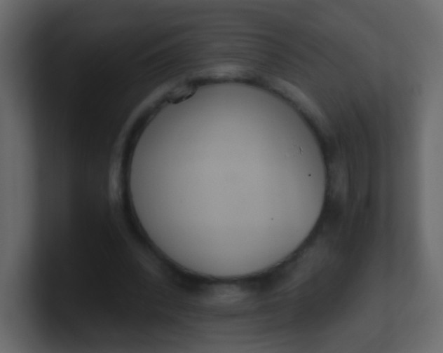 X0000101110392200807101514