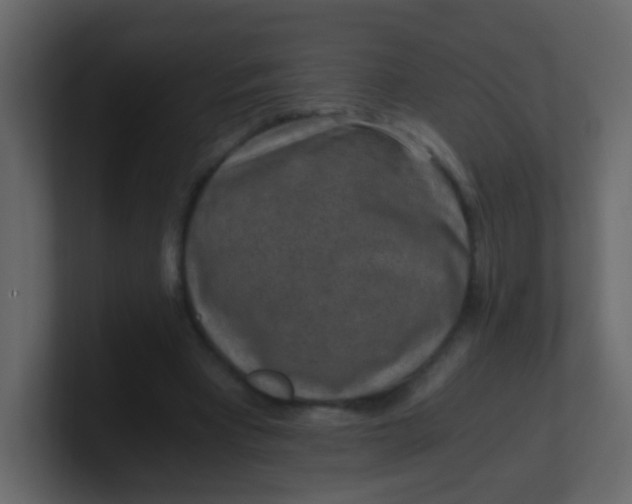 X0000101110393200807101514