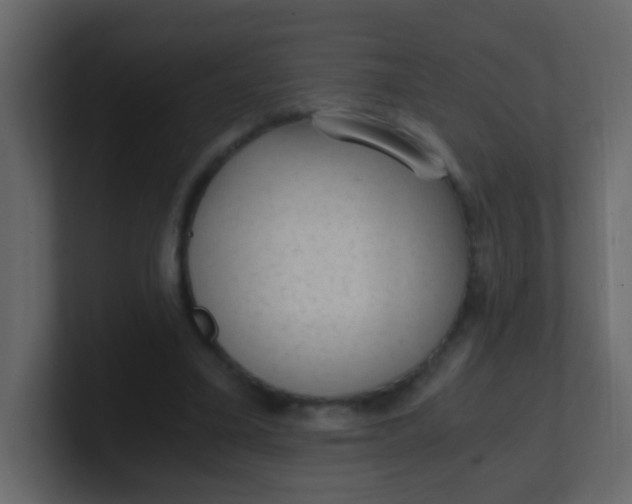 X0000101110395200807101514
